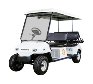 Automobile Buggy